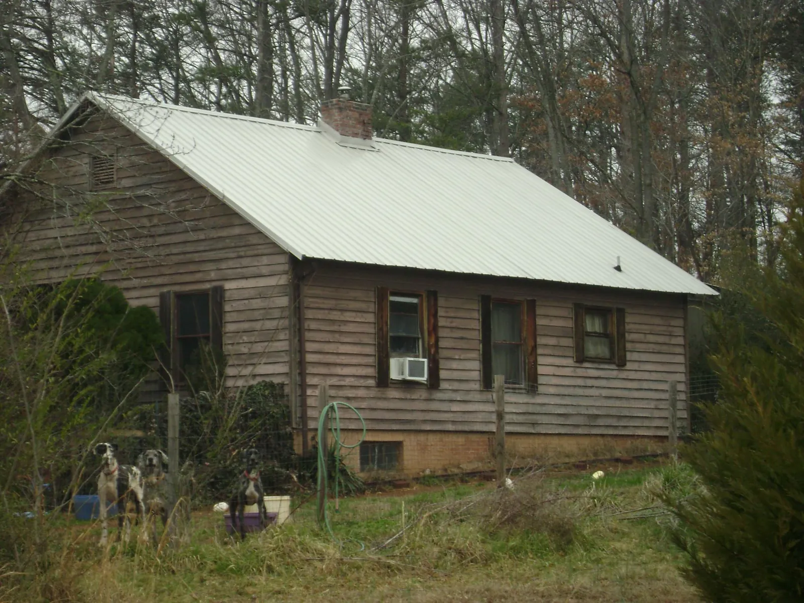 White metal roof on an old wood sided farmhouse, from a Asphalt Shingle Roof Repair job in Ambridge